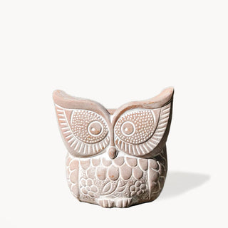 Handmade Planter Pot • Terracotta Pot - Big Eye Owl