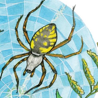 Garden Spider Love- 8x8 " Archival Print