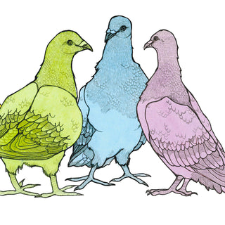 Pigeon Rainbow - 6x12" Archival Print