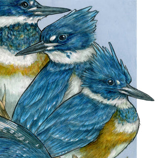 A Realm of Kingfishers - Archival Print  : 8x10"