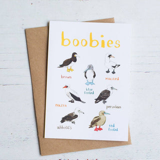 Boobies Blank Bird Card