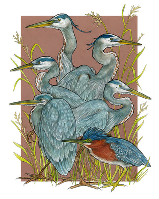 A Siege of Herons - Archival Print : 8x10"