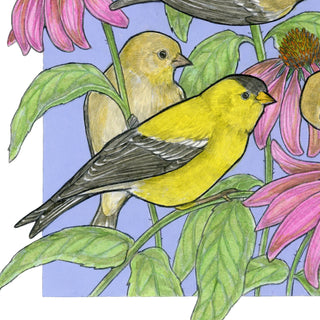 A Charm of Finches - Archival Print: 8x10"