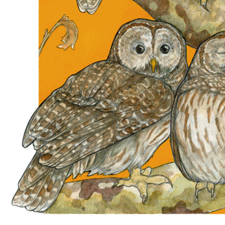 A Parliament of Owls - Archival Print: 8x10"