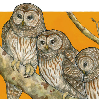 A Parliament of Owls - Archival Print: 8x10"