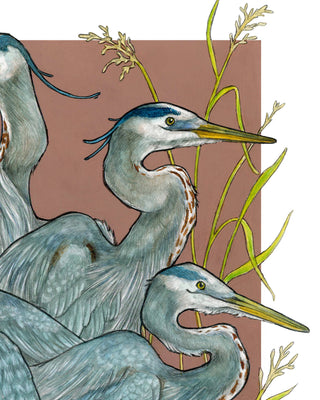 A Siege of Herons - Archival Print : 8x10"