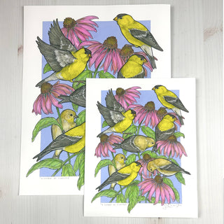 A Charm of Finches - Archival Print: 8x10"