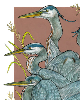 A Siege of Herons - Archival Print : 8x10"