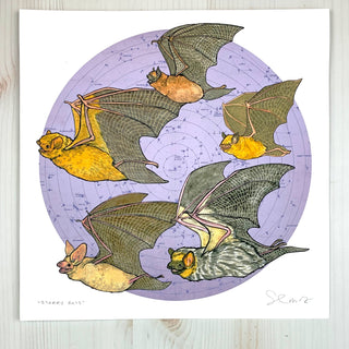 Starry Bats - North American Native Bats - Archival Print: Cream / 8x8"