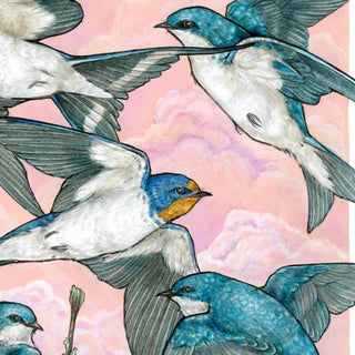 A Flight of Swallows - Archival Print: 8x10"