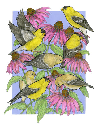 A Charm of Finches - Archival Print: 8x10"