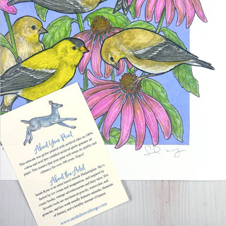 A Charm of Finches - Archival Print: 8x10"
