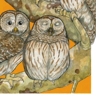 A Parliament of Owls - Archival Print: 8x10"