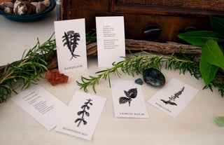 Vol 3 Plant Ally Talisman Cards Mini Poetry Oracle Deck