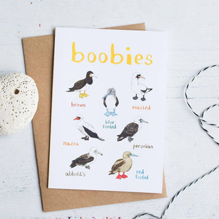 Boobies Blank Bird Card