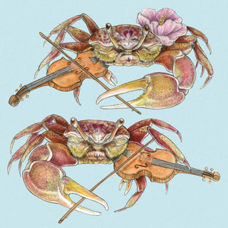 Fiddler Crabs - 8x8 " Archival Print