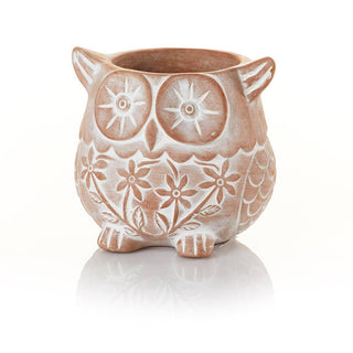 Who's Who Owl Terracotta Planter