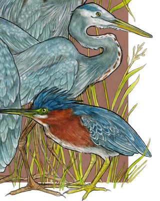 A Siege of Herons - Archival Print : 8x10"