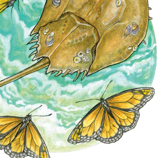 At the Shore - 8x8 " Archival Print