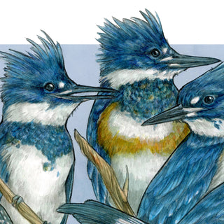 A Realm of Kingfishers - Archival Print  : 8x10"