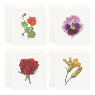 Box Set Cards / Flowers 02: Flat