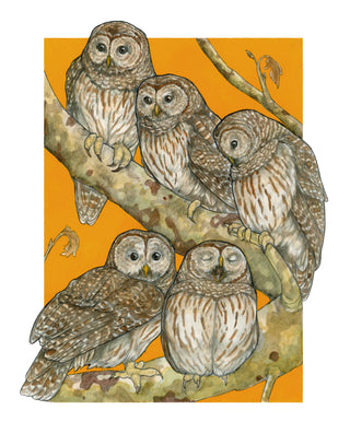 A Parliament of Owls - Archival Print: 8x10"