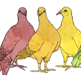 Pigeon Rainbow - 6x12" Archival Print