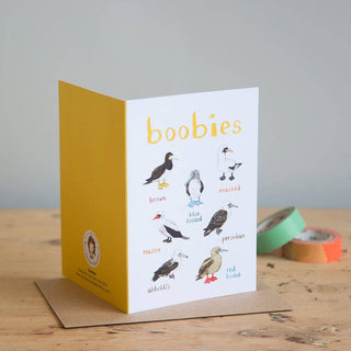 Boobies Blank Bird Card