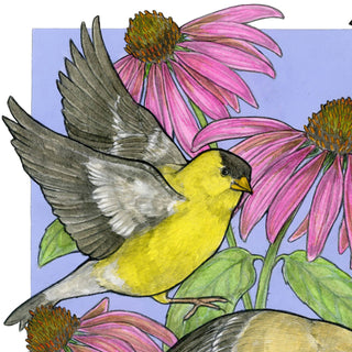 A Charm of Finches - Archival Print: 8x10"