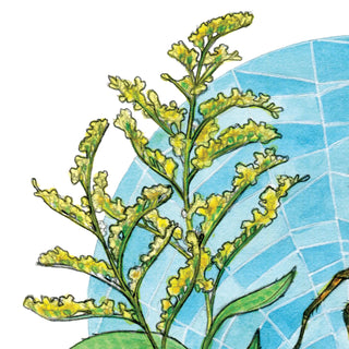 Garden Spider Love- 8x8 " Archival Print