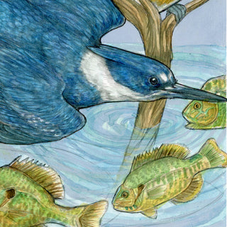 A Realm of Kingfishers - Archival Print  : 8x10"