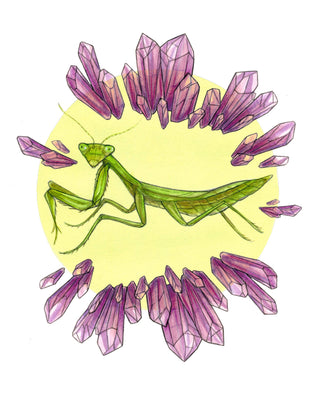 Mantis Prayer - 8x10" Archival Print