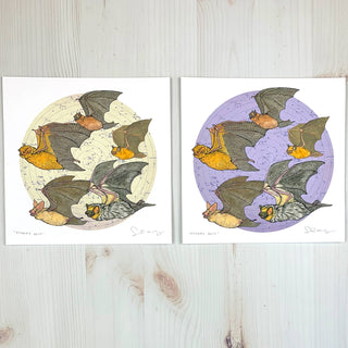 Starry Bats - North American Native Bats - Archival Print: Cream / 8x8"